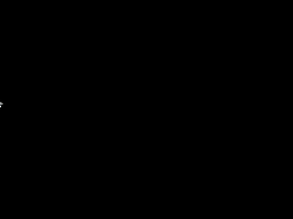 loading Animation ... copyright 1999 by Island Design
